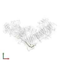 NADH dehydrogenase [ubiquinone] 1 alpha subcomplex subunit 13 in PDB entry 5ldx, assembly 1, front view.