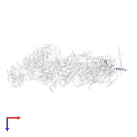 NADH dehydrogenase [ubiquinone] 1 beta subcomplex subunit 3, NDUFB3 in PDB entry 5ldx, assembly 1, top view.