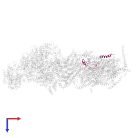 NADH dehydrogenase [ubiquinone] 1 beta subcomplex subunit 8, NDUFB8 in PDB entry 5ldx, assembly 1, top view.