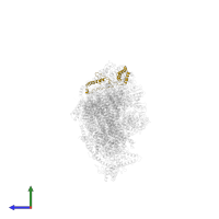 NADH dehydrogenase [ubiquinone] 1 beta subcomplex subunit 9 in PDB entry 5ldx, assembly 1, side view.