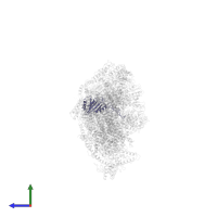 NADH dehydrogenase [ubiquinone] iron-sulfur protein 3, mitochondrial in PDB entry 5ldx, assembly 1, side view.