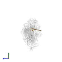 NADH dehydrogenase [ubiquinone] 1 beta subcomplex subunit 7 in PDB entry 5ldx, assembly 1, side view.