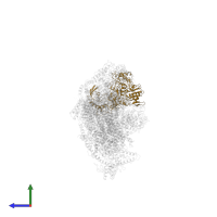 NADH-ubiquinone oxidoreductase 75 kDa subunit, mitochondrial in PDB entry 5ldx, assembly 1, side view.