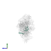 NADH dehydrogenase [ubiquinone] iron-sulfur protein 8, mitochondrial in PDB entry 5ldx, assembly 1, side view.