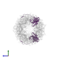 Proteasome subunit beta type-7 in PDB entry 5lex, assembly 1, side view.