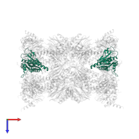 Proteasome subunit alpha type-2 in PDB entry 5lez, assembly 1, top view.