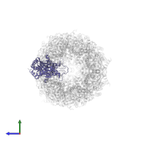 Proteasome subunit alpha type-7 in PDB entry 5lez, assembly 1, side view.