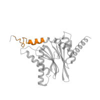 The deposited structure of PDB entry 5lf3 contains 2 copies of Pfam domain PF10584 (Proteasome subunit A N-terminal signature) in Proteasome subunit alpha type-4. Showing 1 copy in chain B.
