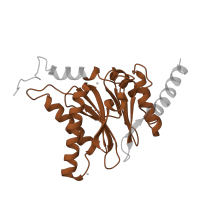 The deposited structure of PDB entry 5lf3 contains 2 copies of Pfam domain PF00227 (Proteasome subunit) in Proteasome subunit alpha type-7. Showing 1 copy in chain Q.