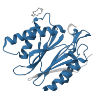 The deposited structure of PDB entry 5lf3 contains 2 copies of Pfam domain PF00227 (Proteasome subunit) in Proteasome subunit beta type-3. Showing 1 copy in chain W.