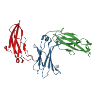 The deposited structure of PDB entry 5lgk contains 12 copies of CATH domain 2.60.40.10 (Immunoglobulin-like) in Immunoglobulin heavy constant epsilon. Showing 3 copies in chain A.