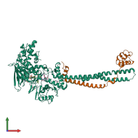 PDB entry 5lhi coloured by chain, front view.
