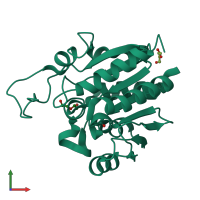 3D model of 5lir from PDBe