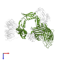 Outer membrane protein assembly factor BamA in PDB entry 5ljo, assembly 1, top view.