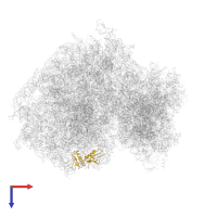 Large ribosomal subunit protein uL6 in PDB entry 5lks, assembly 1, top view.
