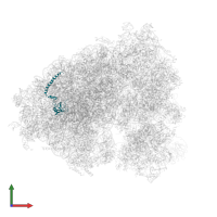 Large ribosomal subunit protein eL14 in PDB entry 5lks, assembly 1, front view.