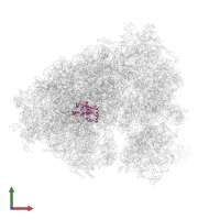 Large ribosomal subunit protein eL15 in PDB entry 5lks, assembly 1, front view.