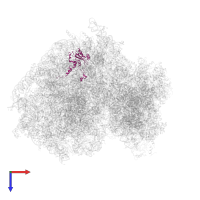 Large ribosomal subunit protein eL15 in PDB entry 5lks, assembly 1, top view.