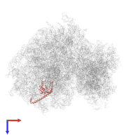 Large ribosomal subunit protein uL13 in PDB entry 5lks, assembly 1, top view.
