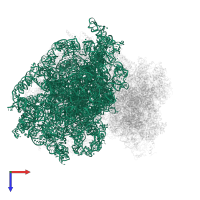 28S ribosomal RNA in PDB entry 5lks, assembly 1, top view.