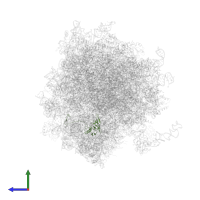 Large ribosomal subunit protein eL21 in PDB entry 5lks, assembly 1, side view.