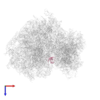 Large ribosomal subunit protein uL14 in PDB entry 5lks, assembly 1, top view.