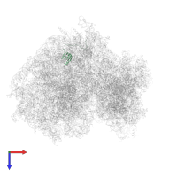 Large ribosomal subunit protein uL23 in PDB entry 5lks, assembly 1, top view.