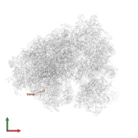 60S ribosomal protein L29 in PDB entry 5lks, assembly 1, front view.