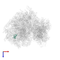 Large ribosomal subunit protein eL33 in PDB entry 5lks, assembly 1, top view.