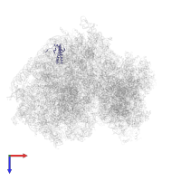 Large ribosomal subunit protein uL29 in PDB entry 5lks, assembly 1, top view.