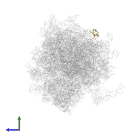 Large ribosomal subunit protein eL38 in PDB entry 5lks, assembly 1, side view.