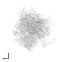 Large ribosomal subunit protein eL39 in PDB entry 5lks, assembly 1, side view.