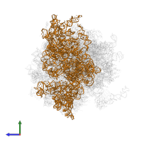 18S Ribosomal RNA in PDB entry 5lks, assembly 1, side view.