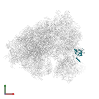 Small ribosomal subunit protein uS2 in PDB entry 5lks, assembly 1, front view.
