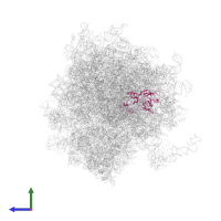 Large ribosomal subunit protein uL2 in PDB entry 5lks, assembly 1, side view.