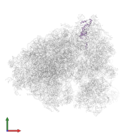 Small ribosomal subunit protein eS8 in PDB entry 5lks, assembly 1, front view.