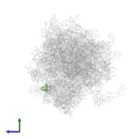 Small ribosomal subunit protein eS10 in PDB entry 5lks, assembly 1, side view.