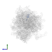 Small ribosomal subunit protein uS17 in PDB entry 5lks, assembly 1, side view.