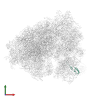 Small ribosomal subunit protein uS10 in PDB entry 5lks, assembly 1, front view.