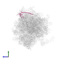 Small ribosomal subunit protein eS6 in PDB entry 5lks, assembly 1, side view.