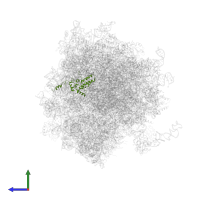 Small ribosomal subunit protein uS4 in PDB entry 5lks, assembly 1, side view.