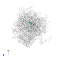 Small ribosomal subunit protein uS8 in PDB entry 5lks, assembly 1, side view.