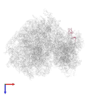 Small ribosomal subunit protein eS27 in PDB entry 5lks, assembly 1, top view.