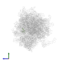 Ribosomal protein S30 in PDB entry 5lks, assembly 1, side view.