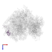 Large ribosomal subunit protein eL6 in PDB entry 5lks, assembly 1, top view.