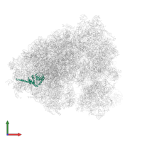 Large ribosomal subunit protein uL30 in PDB entry 5lks, assembly 1, front view.