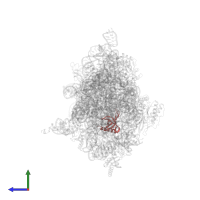 Small ribosomal subunit protein uS17 in PDB entry 5lms, assembly 1, side view.