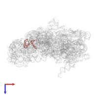 Small ribosomal subunit protein uS17 in PDB entry 5lms, assembly 1, top view.