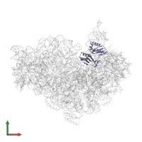 Small ribosomal subunit protein uS3 in PDB entry 5lms, assembly 1, front view.