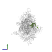 Small ribosomal subunit protein uS5 in PDB entry 5lms, assembly 1, side view.